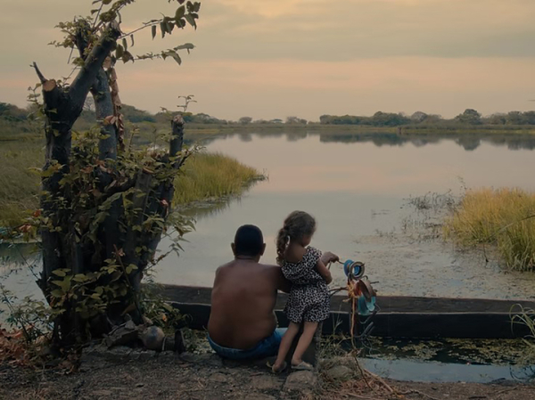 На фестивале документального кино наградили фильм о жизни счастливой козы