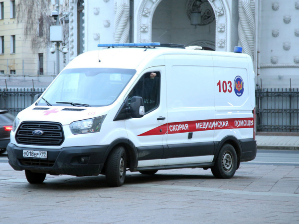 При пожаре в Архангельской области погибли дети