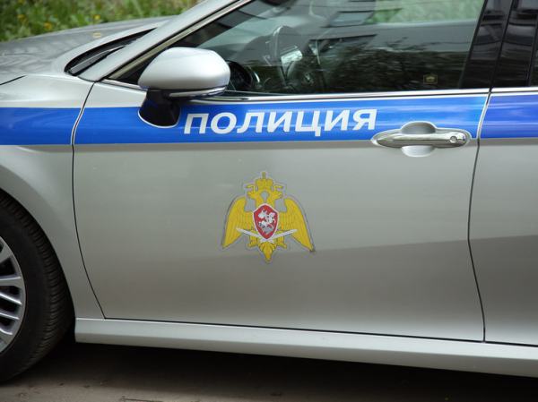 Россиянин в костюме лебедя устроил заплыв на Патриарших прудах