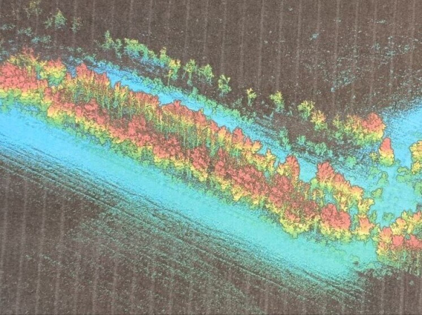 Российские ученые научились дистанционно получать 3D- «портреты» деревьев и грибников
