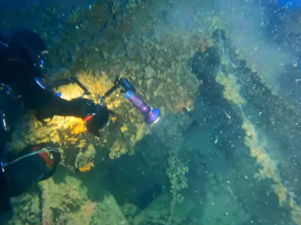 Со дна впервые подняты предметы с затонувшего в прошлом веке судна-побратима «Титаника»