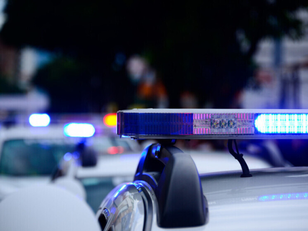 Тела съели бродячие псы: вооруженные бандиты устроили массовую резню в деревне