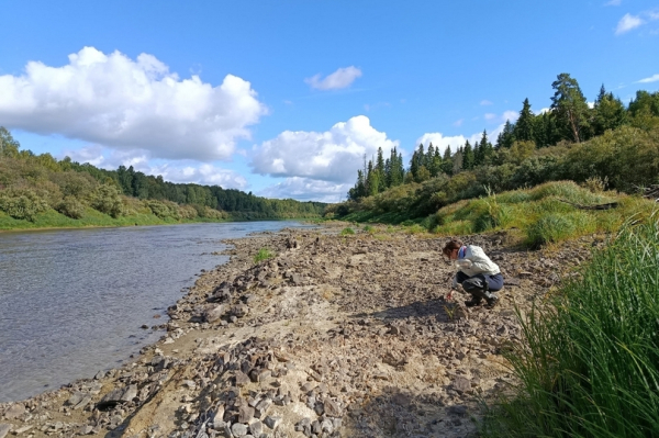 Ученые выяснили, что на Северном Урале водились хищные киты