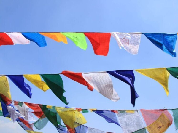 В эпоху глобальных тревог выявлена неожиданная роль флагов