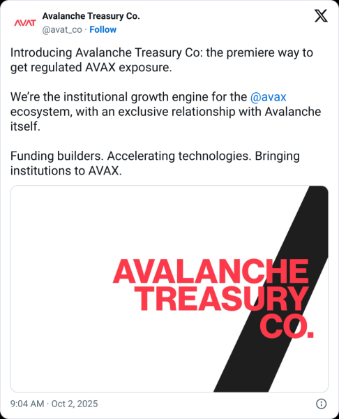 Казначейская компания Avalanch Казначейская компания Avalanch