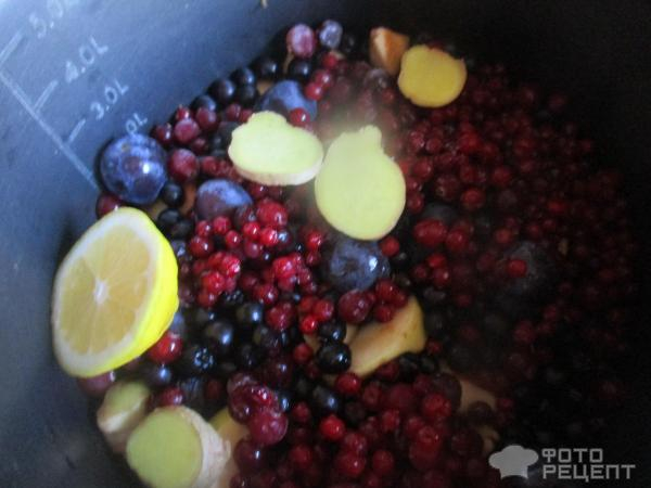 Рецепт: Компот из свежих яблок и черноплодки - с добавлением других фруктов и ягод Рецепт: Компот из свежих яблок и черноплодки - с добавлением других фруктов и ягод