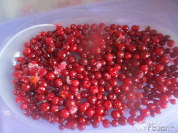 Рецепт: Компот из свежих яблок и черноплодки - с добавлением других фруктов и ягод Рецепт: Компот из свежих яблок и черноплодки - с добавлением других фруктов и ягод