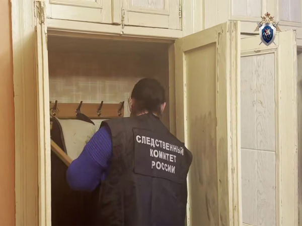 Серийный убийца из Подмосковья был разоблачен после кражи сумки с продуктами