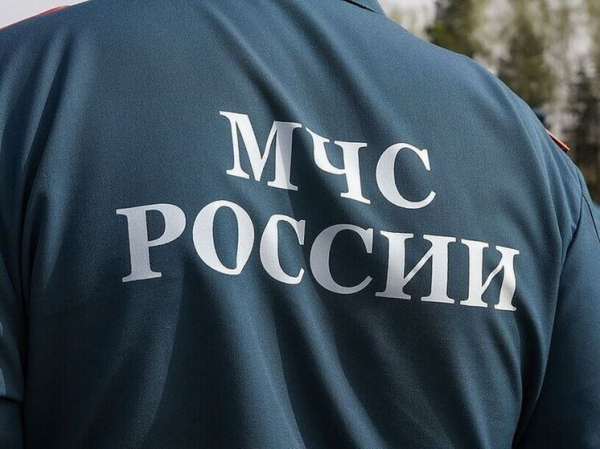 Стали известны последние планы пропавшей неделю назад под Красноярском семьи