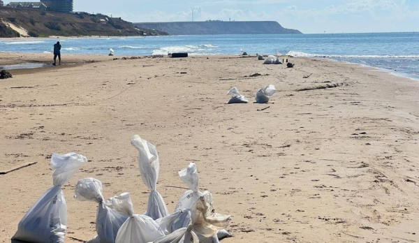 На Черном море новые выбросы мазута, но в Анапе все чисто На Черном море новые выбросы мазута, но в Анапе все чисто
