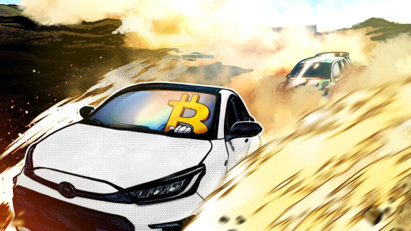 BTC станет настоящим победителем четвертого поворота – аналитик BTC станет настоящим победителем четвертого поворота – аналитик