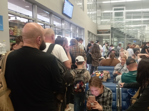 Эксперт объяснил, зачем контрабандисту понадобились чертежи скрипок Страдивари