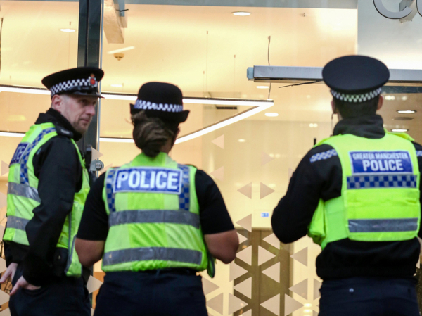 Полиция арестовала несущего домой садовые инструменты и овощи со своего огорода мужчину