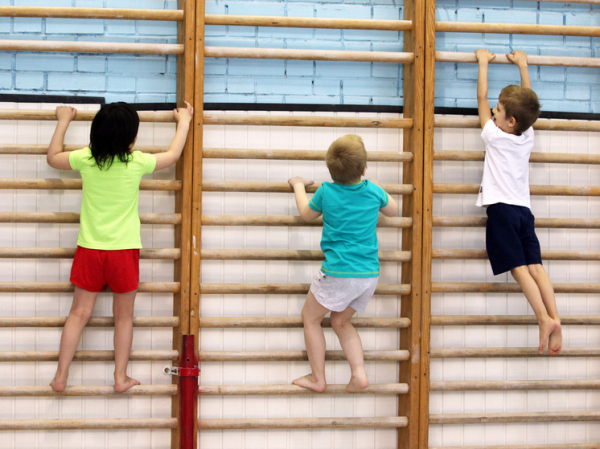 Россияне назвали любимые и нелюбимые школьные предметы: физкультура в обоих списках