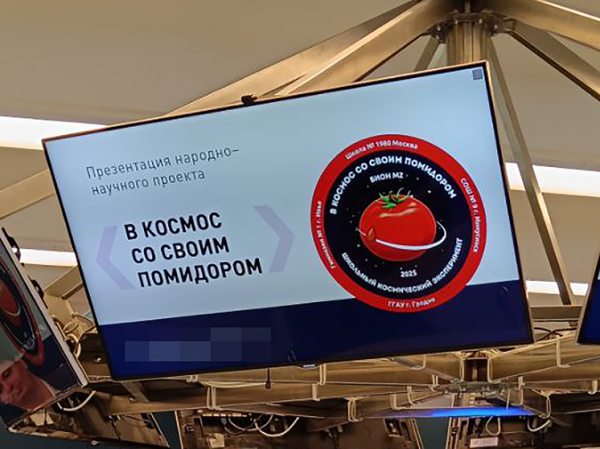 Школьники «помидорных столиц» России и  Белоруссии передали семена для отправки в космос