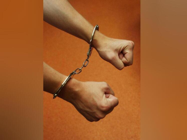 Советник нефтяной компании соблазнял 11-летнюю дочь вместо бесед о вреде порнографии