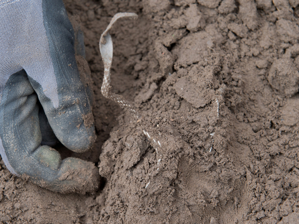 Ученые нашли древнейшее свидетельство каннибализма: съеден ребенок 850 000 лет назад