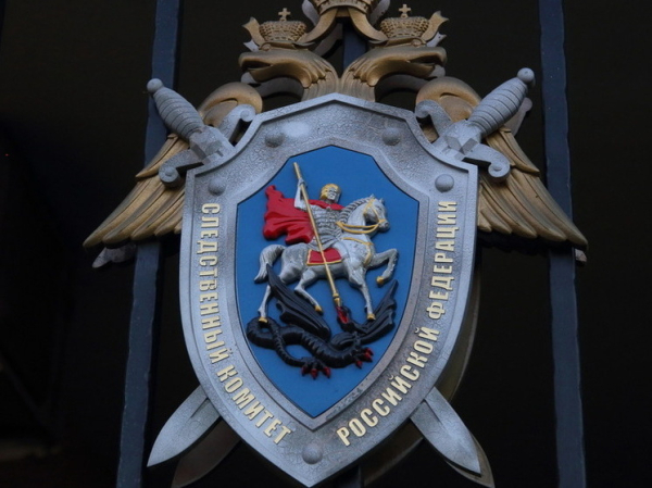 В Пензе мать спасла дочь от преследователя-извращенца