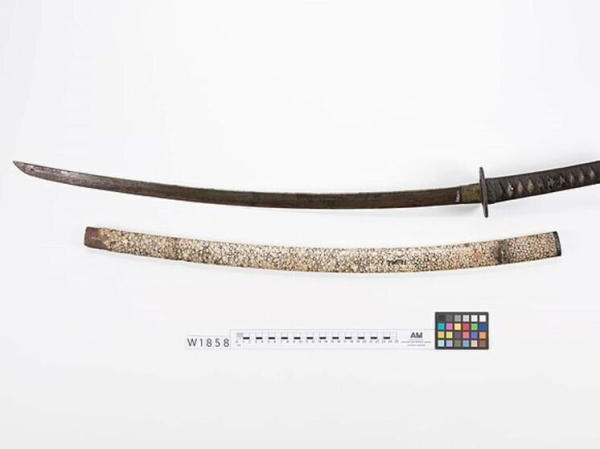 Женщина кроваво расправилась в состоянии опьянения с собакой сына самурайским мечом