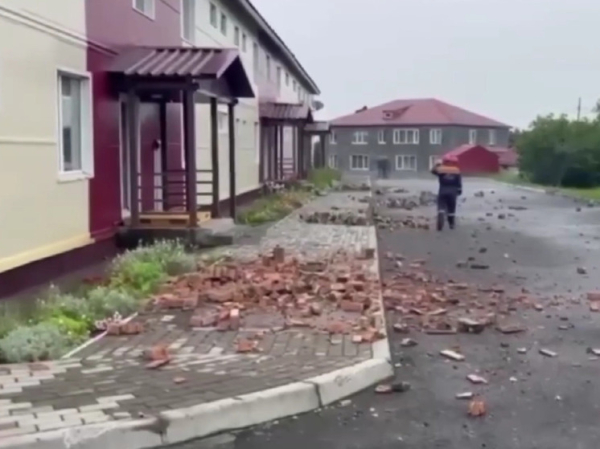 Житель Петропавловска-Камчатского спас свою собаку во время землетрясения