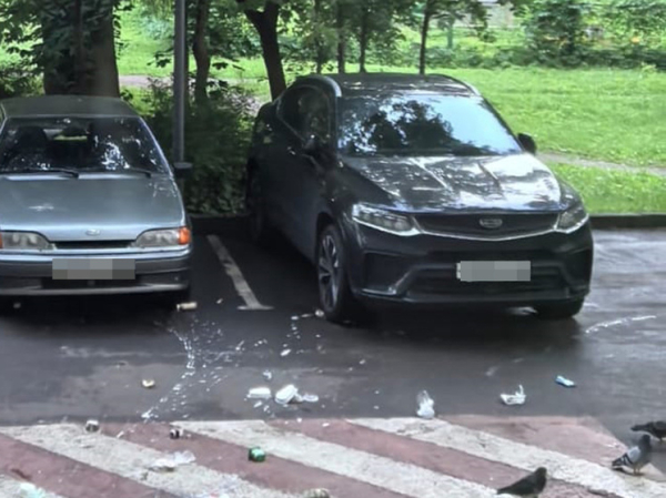 Жители дома на северо-востоке столицы выбрасывают из окон удавов и тараканов